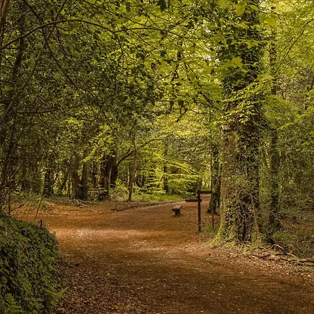 Park فندق كينمير