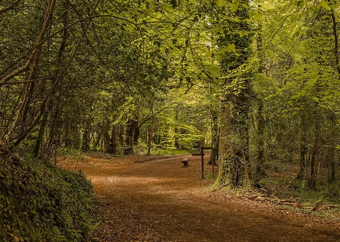 Park 호텔 켄마어